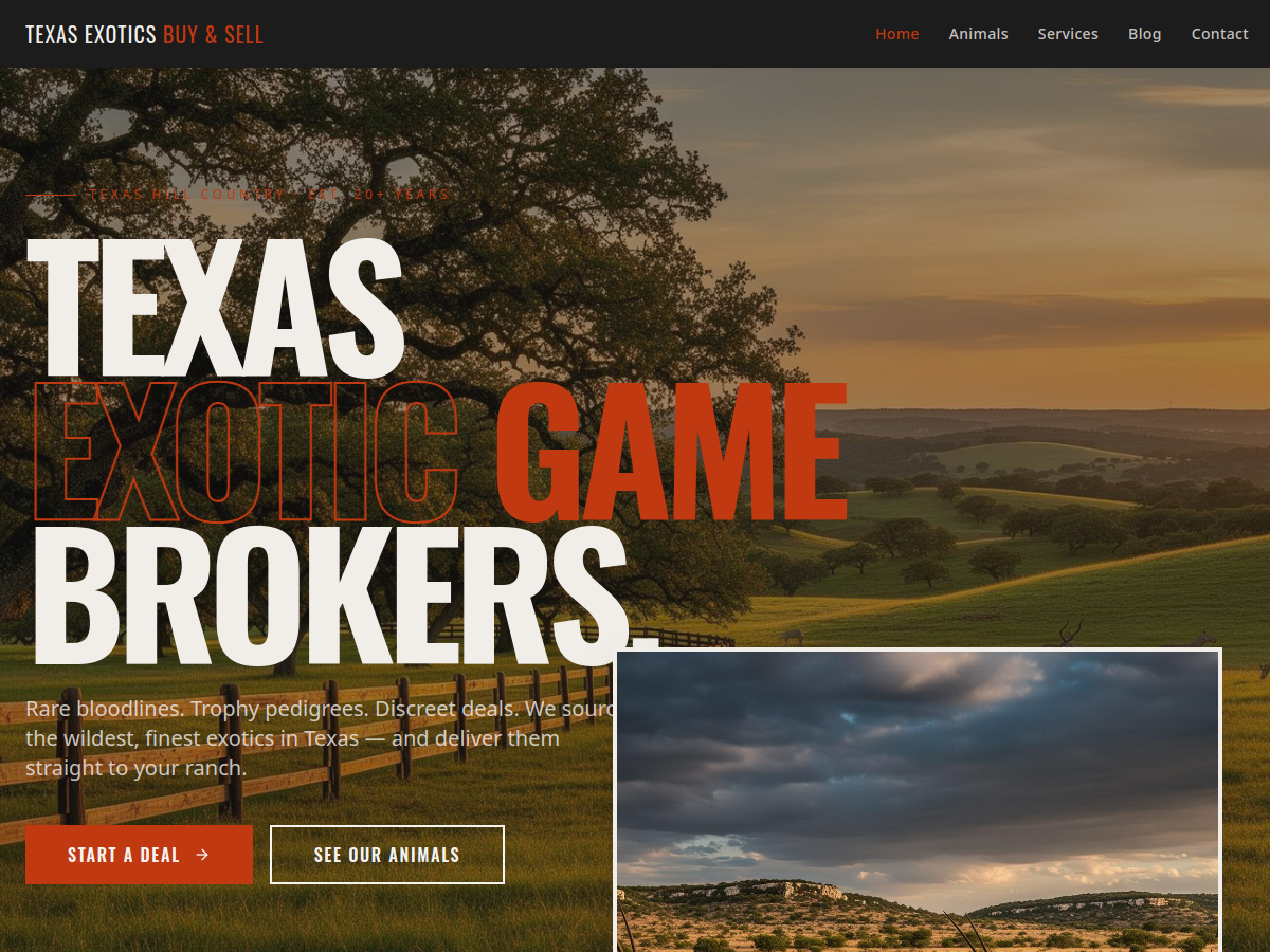 Texas Exotics Buy & Sell website preview